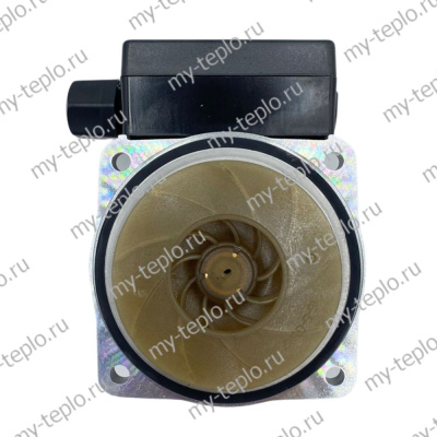 Насос циркуляционный Duca BPS 15-5D (голова) для котла Ferroli Domina C N (KGnasDucaDomCNG155)